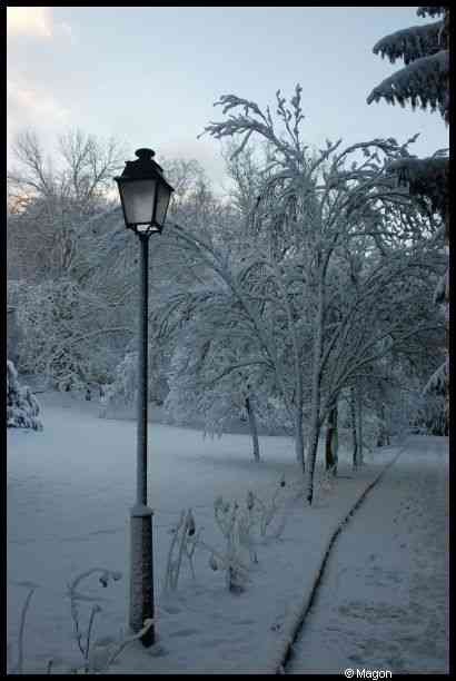 Снег в Люксембурге, 9 декабря 2010: фонарь и деревья под инеем