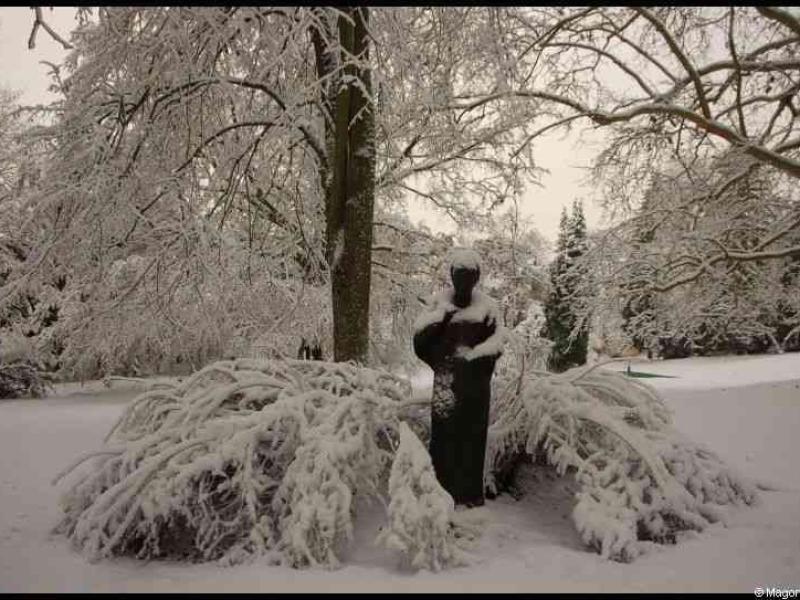 Snow-in-lux-091210