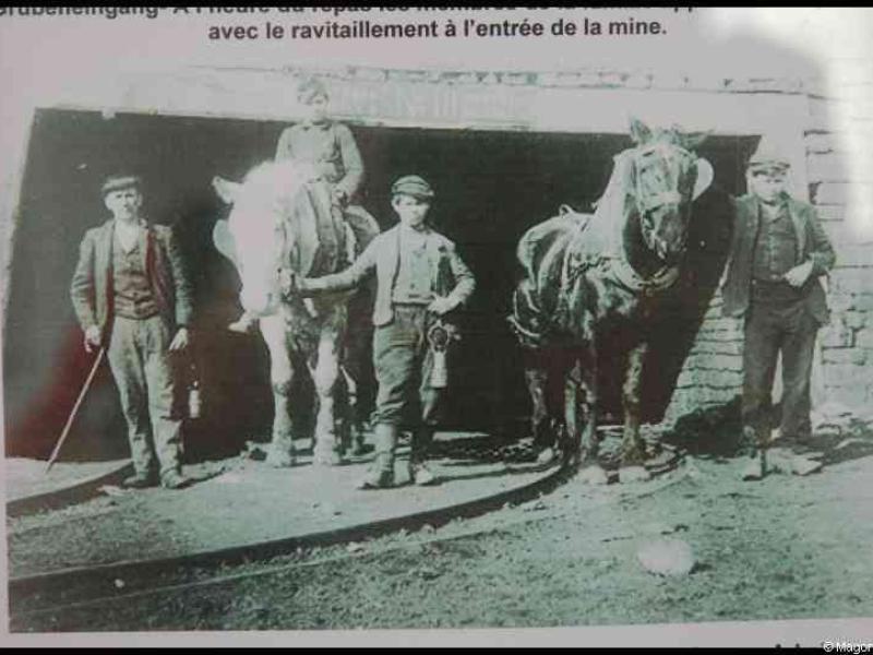 Train, Люксембург, 1900: вход в шахту с лошадьми и рабочими