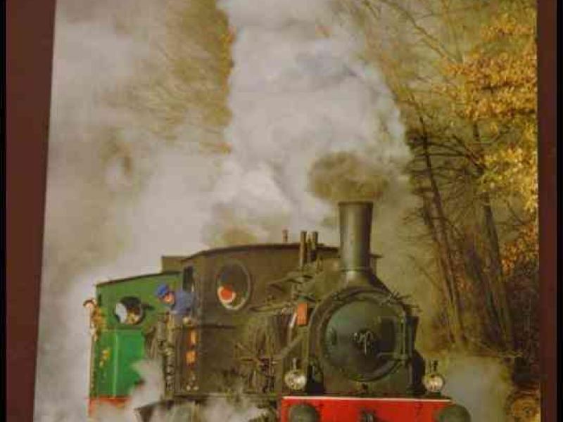 Люксембург, 1900: паровоз на зимней линии Train