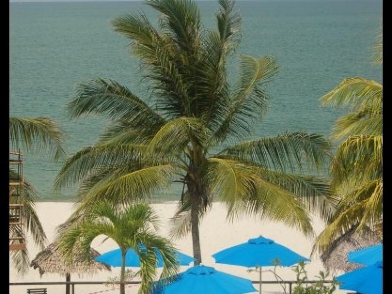 Пляжный бассейн и пальмы у моря в Куантане, Малайзия