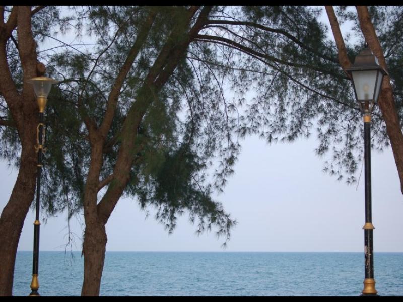 Два старинных фонаря между деревьями у моря