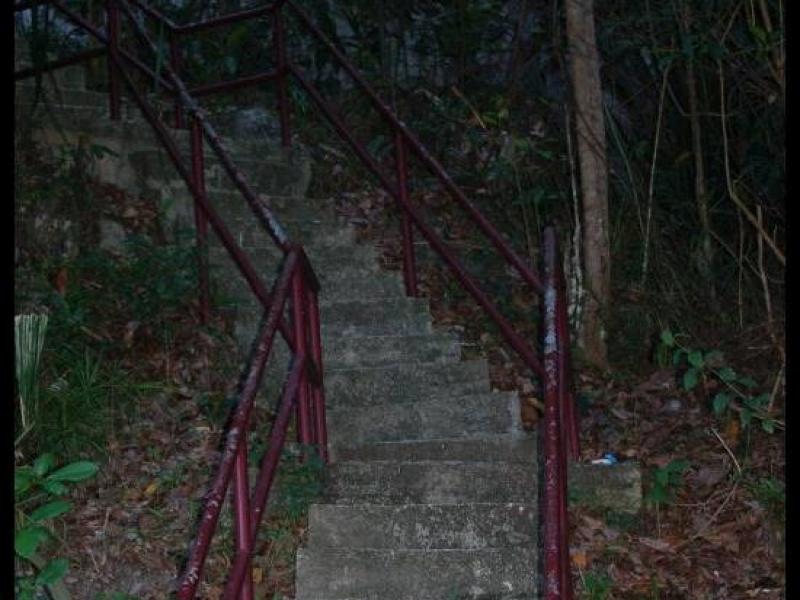 Лестница в лесу у Куантана, Малайзия