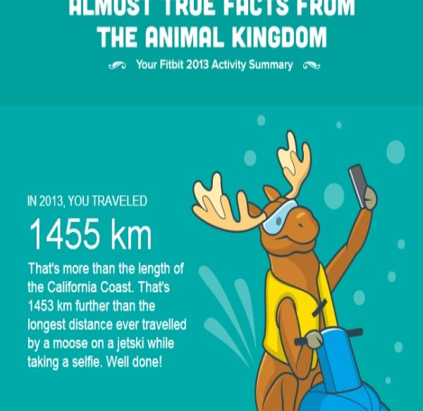 fitbit2013