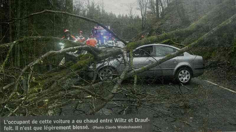 Автомобиль под упавшим деревом между Wiltz и Drauffelt