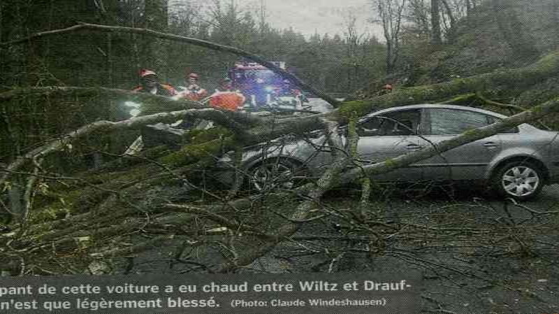 Автомобиль под упавшим деревом между Wiltz и Drauffelt