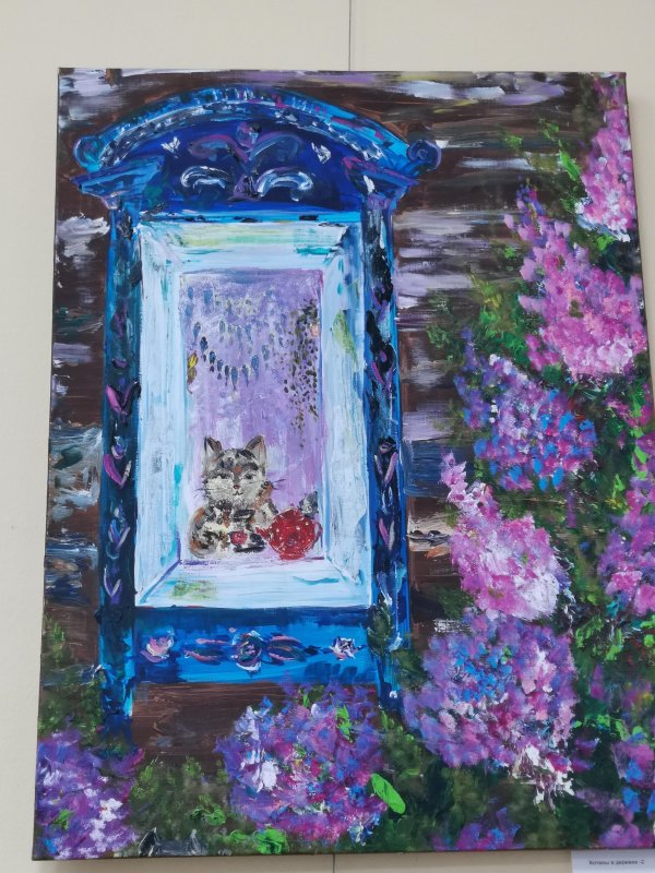 Котёнок в синем окне среди фиолетовых кустов у 3 In The Boat