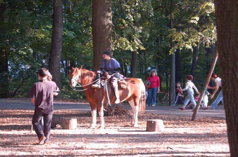 Архангельское, 2006: всадник на гнедом коне у аллеи среди осенних деревьев