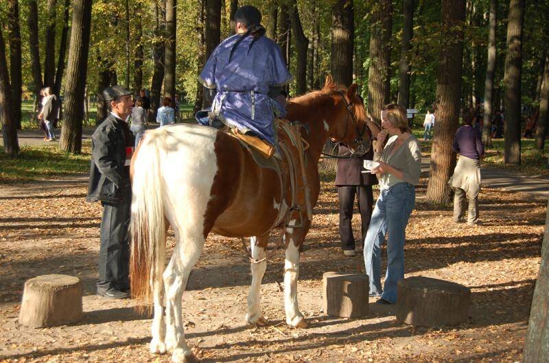Архангельское, 2006: всадник в синем на пегой лошади среди осенних деревьев