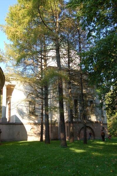 Архангельское, 2006: старинное здание за хвойными деревьями