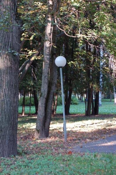 Архангельское, 2006: шаровая лампа среди осенних деревьев