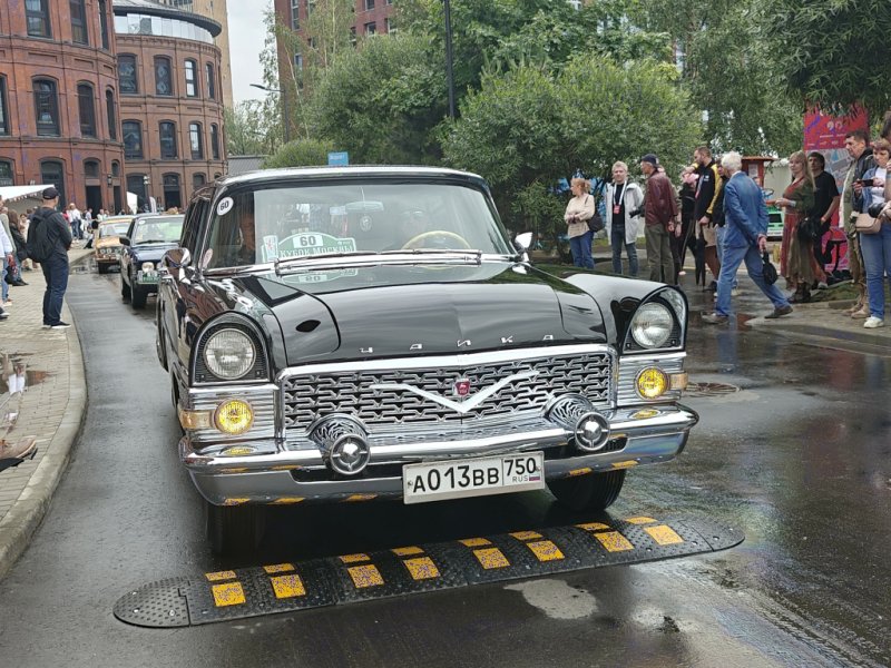 Чайка на бордюре в Arma120726: чёрный советский автопарк на мокрой улице