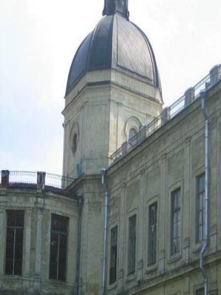Гатчинский дворец, 2006: купол над барочным фасадом и фиолетовые цветы у основания