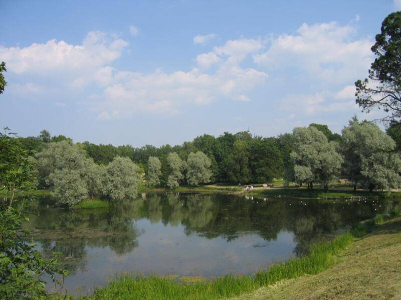 Гатчина, 2006: пруд в парке с ивами и утками