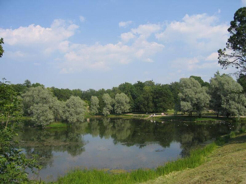 Гатчина, 2006: пруд в парке с ивами и утками