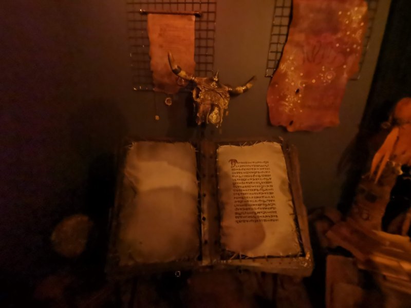 Кино-музей: старинная книга и череп быка на стене