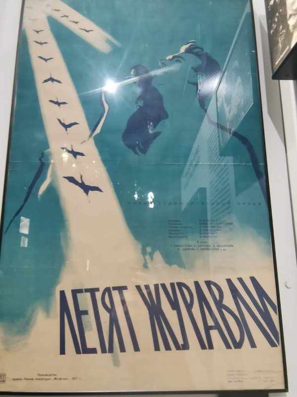 Kino Museum, Москва: постер фильма «Летят журавли» 1967 года