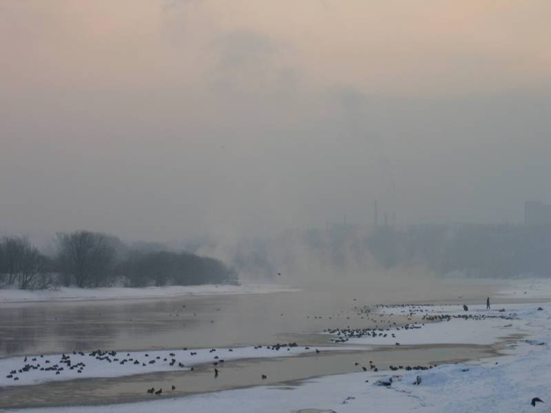 Kolomenskoe, 2006: туман над Волгой и птицы на льду