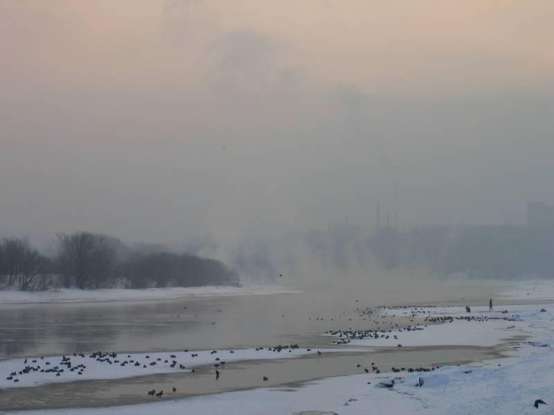 Kolomenskoe, 2006: туман над Волгой и птицы на льду