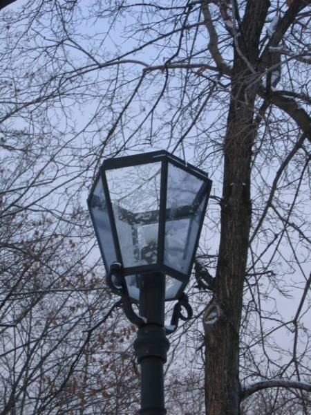 Лампа у деревьев в Коломенском, 2006