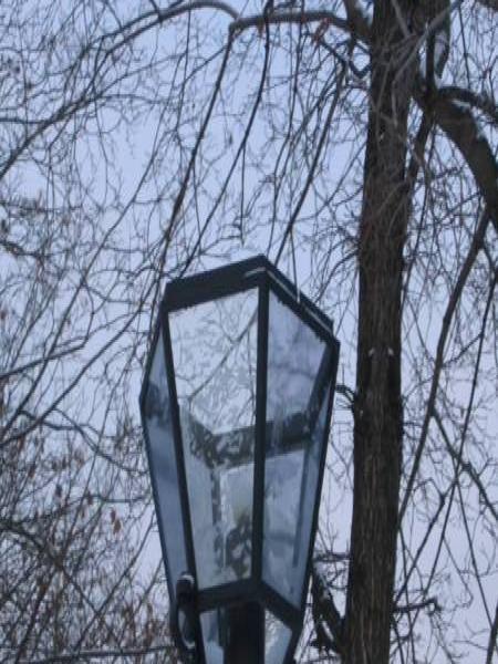 Лампа у деревьев в Коломенском, 2006