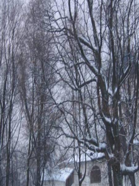 Kolomenskoe, 2006: снег на деревьях и красный плащ у белого дома