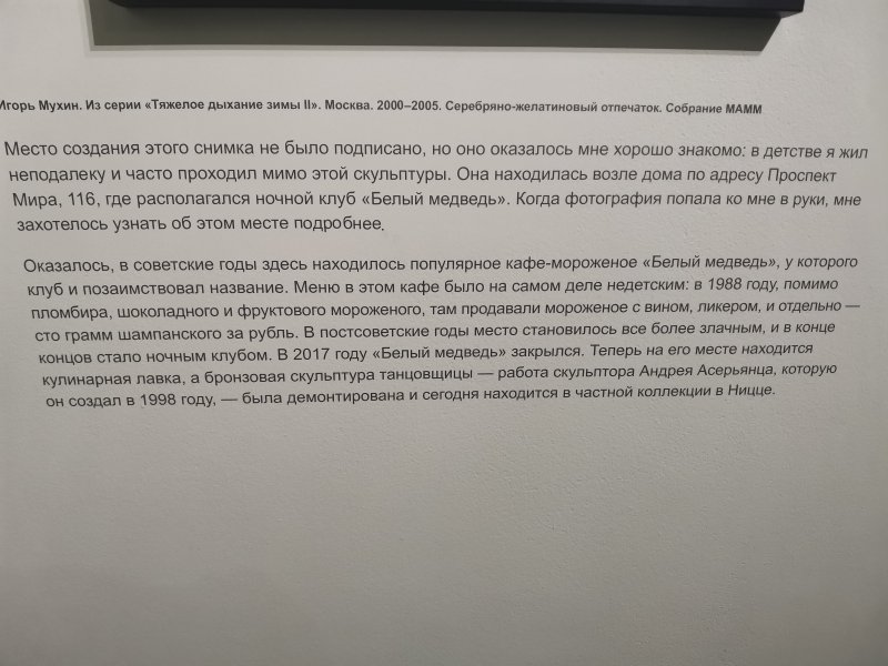 Мультимедиа Арт Музей, Москва: «Белый медведь» в Проспекте Мира