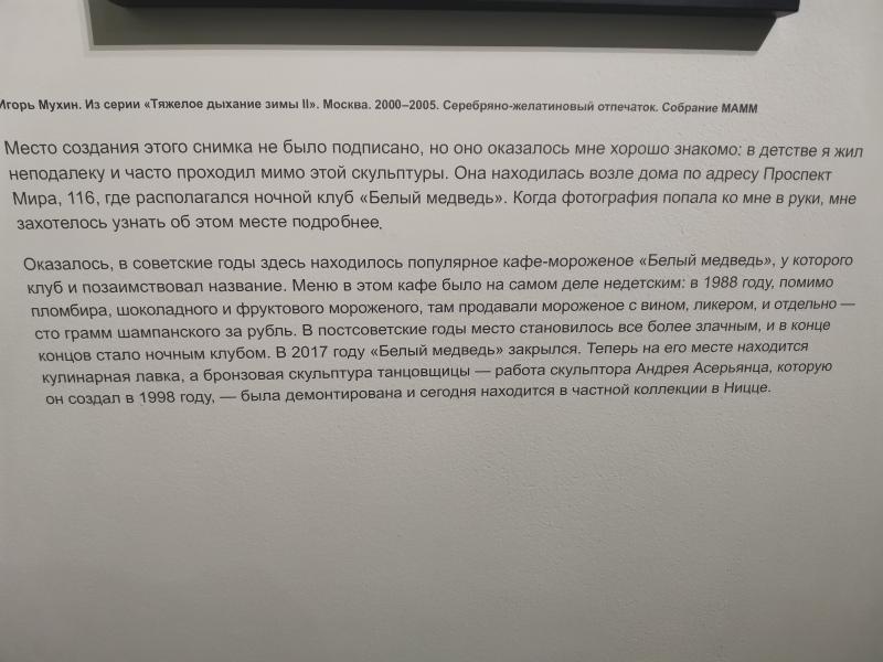 Мультимедиа Арт Музей, Москва: «Белый медведь» в Проспекте Мира