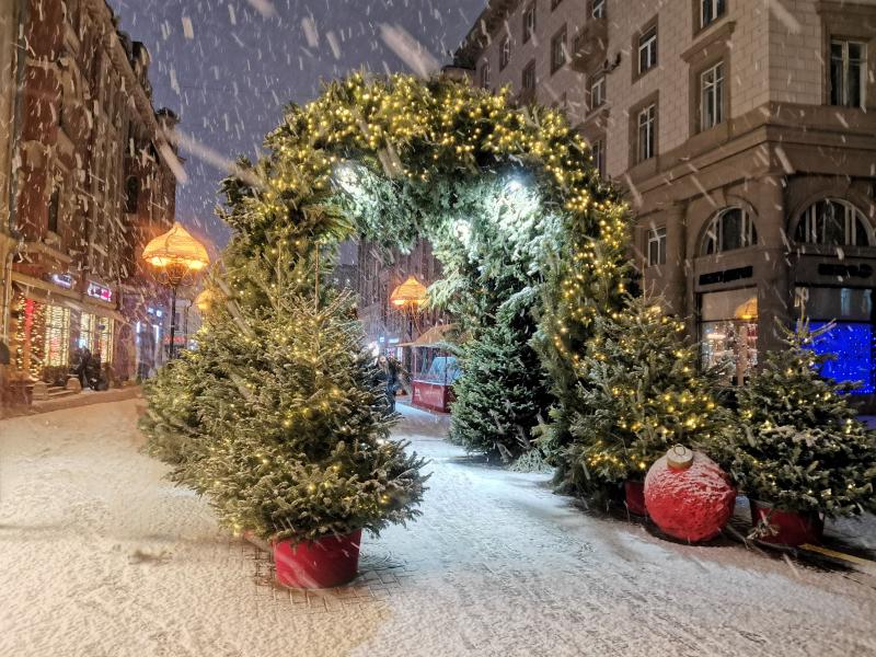 win_mos (2)