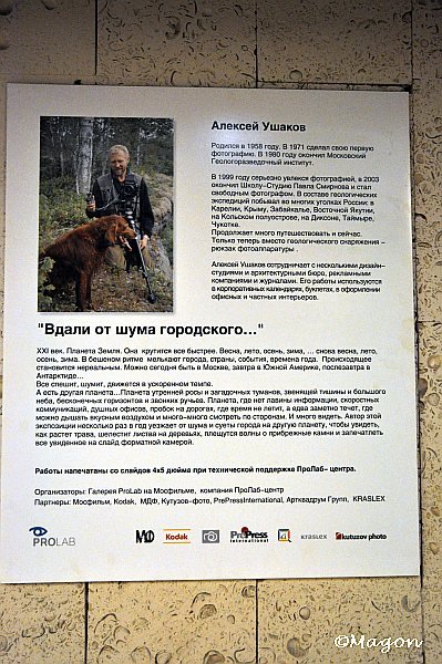 Mosfilm, 1970-е: актёр с собакой на съёмочной площадке