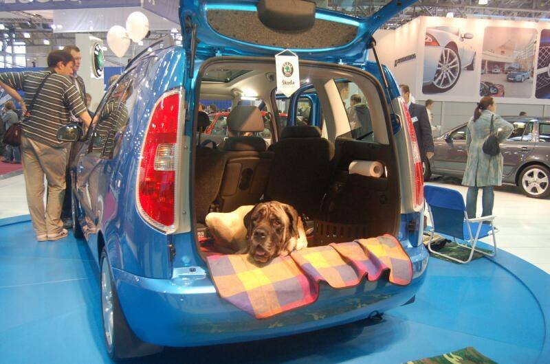 Motorshow 2006: синий Škoda Fabia Combi с собакой в багажнике