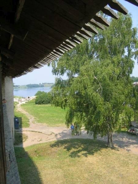 Старая Ладога, 2006: дерево у старой стены и Волхов за кустами
