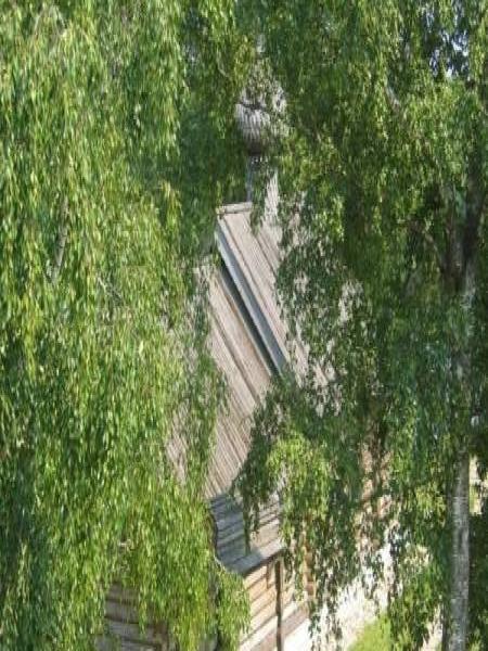 Старая Ладога, 2006: деревянная изба с резным козырьком и шатровой крышей