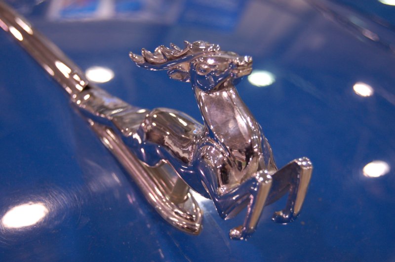 Декоративный рогатый зверь на синем капоте Oldtimer в России, 2007