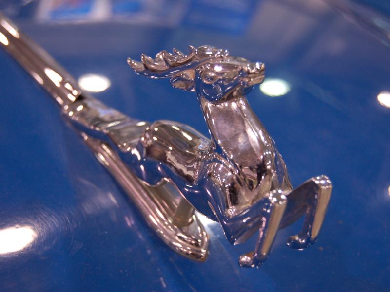 Декоративный рогатый зверь на синем капоте Oldtimer в России, 2007