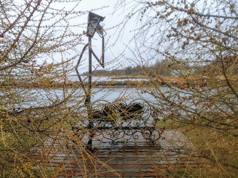 Осиновецкий маяк: кованая скамья и ветви липы у воды