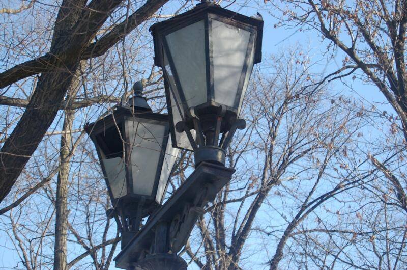 Два фонаря на улице Spb Flashlamps: чугунные, с матовыми стеклами и ветвистыми деревьями на фоне