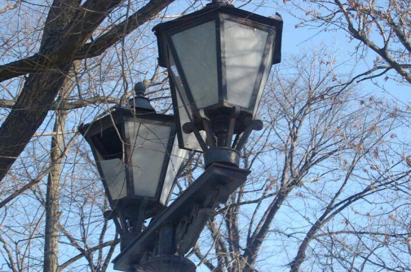 Два фонаря на улице Spb Flashlamps: чугунные, с матовыми стеклами и ветвистыми деревьями на фоне