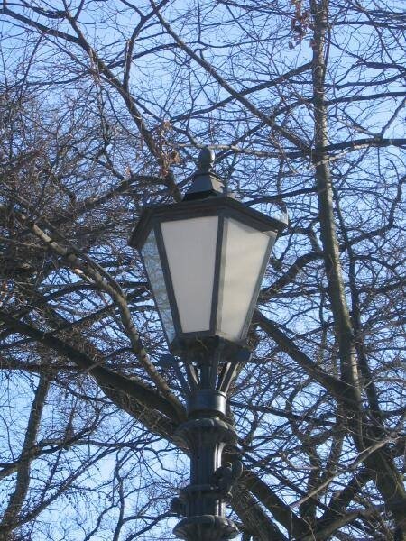Уличный фонарь на фоне голых ветвей в Spb Flashlamps