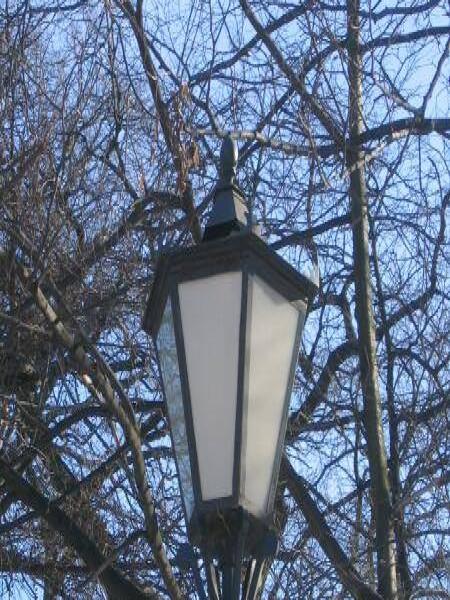 Уличный фонарь на фоне голых ветвей в Spb Flashlamps