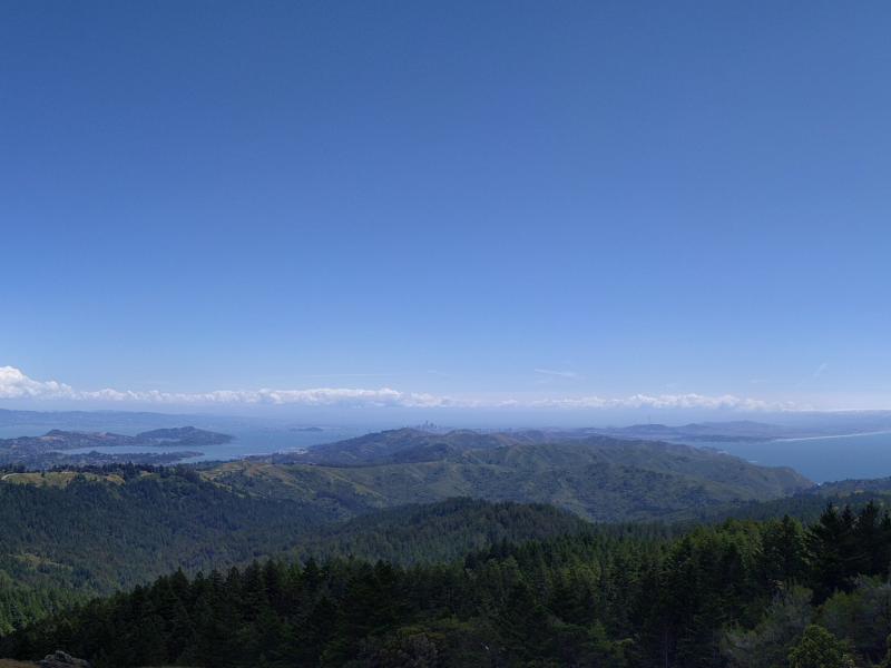 Muir woods